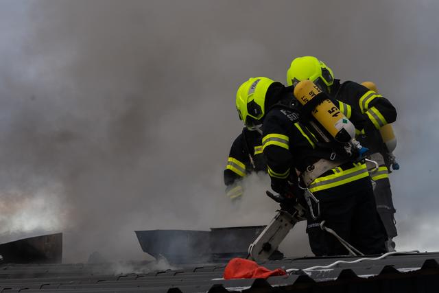 Foto: FOTOKERSCHI.AT / KERSCHBAUMMAYR