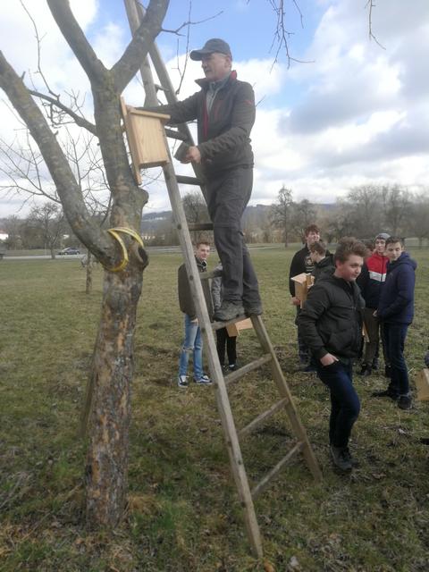 Foto: PTS Ottensheim