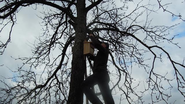 Foto: PTS Ottensheim