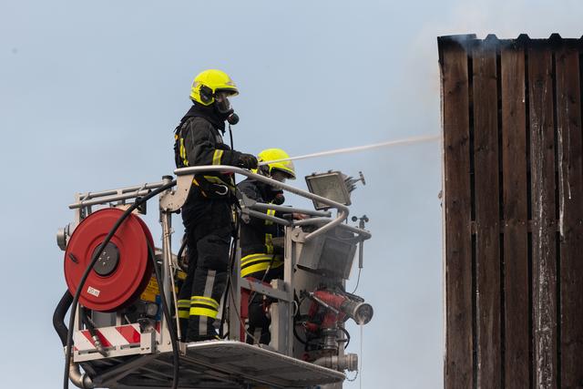 Foto: FOTOKERSCHI.AT / KERSCHBAUMMAYR