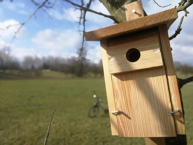 Foto: PTS Ottensheim