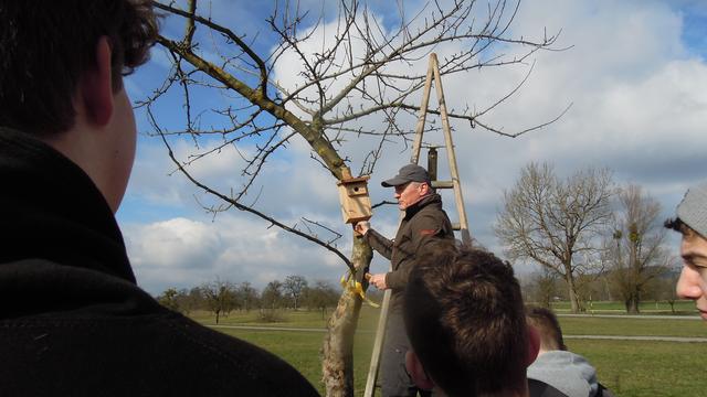 Foto: PTS Ottensheim
