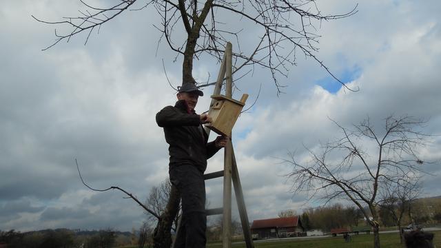 Foto: PTS Ottensheim