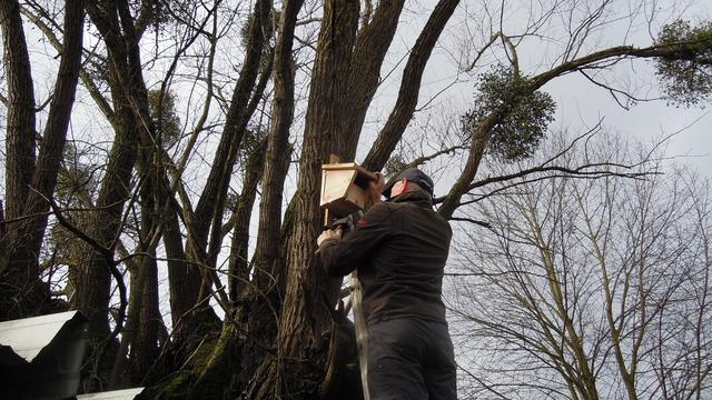Foto: PTS Ottensheim
