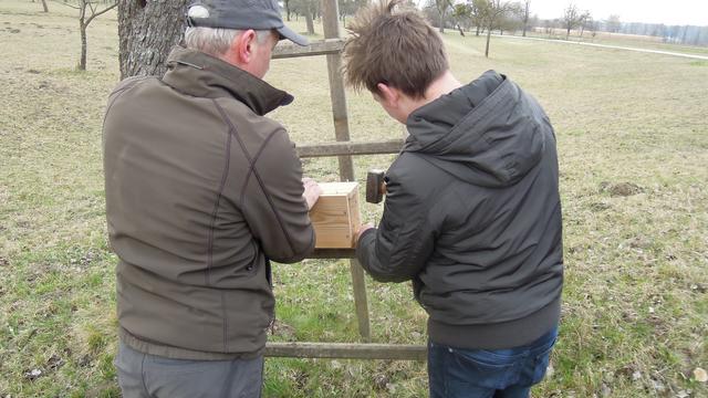 Foto: PTS Ottensheim