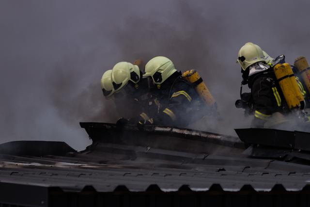 Foto: FOTOKERSCHI.AT / KERSCHBAUMMAYR