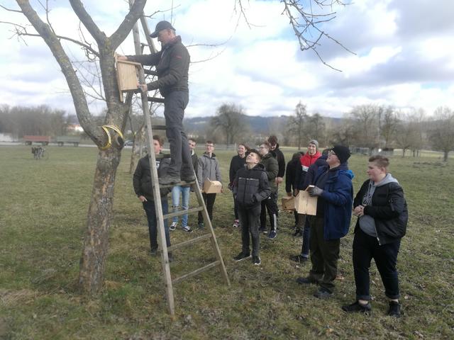 Foto: PTS Ottensheim