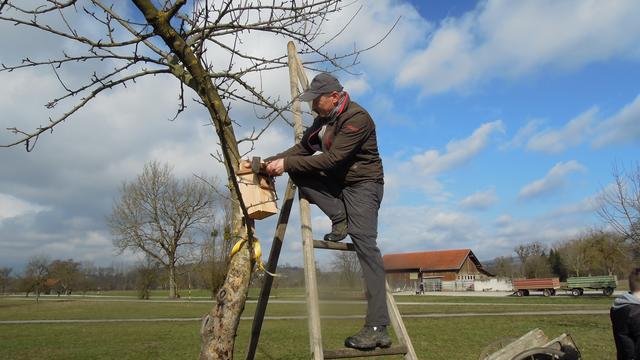 Foto: PTS Ottensheim
