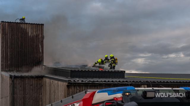 Foto: FOTOKERSCHI.AT / KERSCHBAUMMAYR