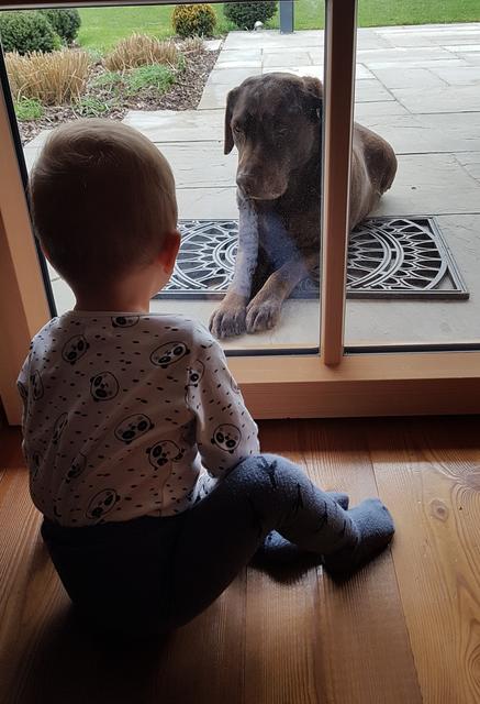 Aika mit ihrem besten Freund, der 1-jährige Florian | Foto: Petra Riedl