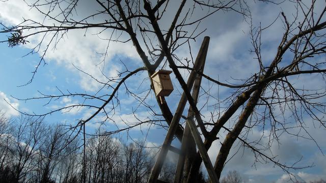 Foto: PTS Ottensheim