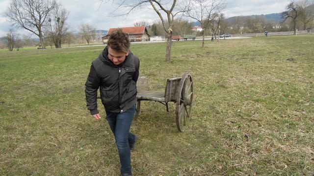 Foto: PTS Ottensheim