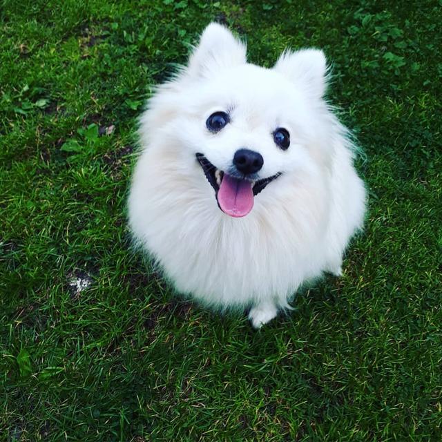 Egal ob beim Schwammerl suchen oder beim gemütlichen Liegen auf einer Wiese voller Gänseblümchen | Foto: Denisa Bauer