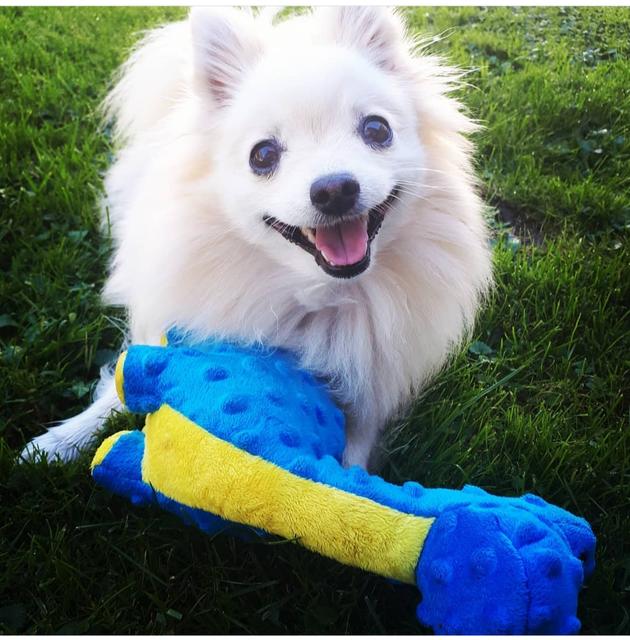 Diese kleine Naschkatze hört auf den Namen "Milos" | Foto: Denisa Bauer