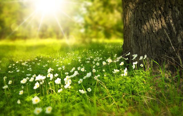 Ab Mittwoch stellt das Wetter dann endlich auf Frühling um: Es wird sehr mild, sehr milde 20 Grad sind in Sicht.