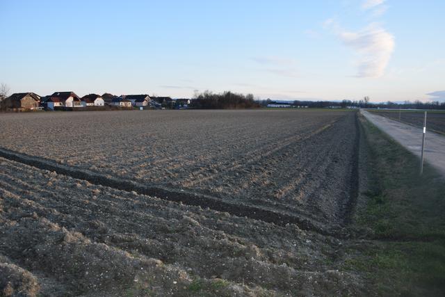 Auf diesem Ackerland westlich des Feldkirchner Ortszentrums will die GIWOG eine Wohnsiedlung errichten. | Foto: Wolfgang Reisinger