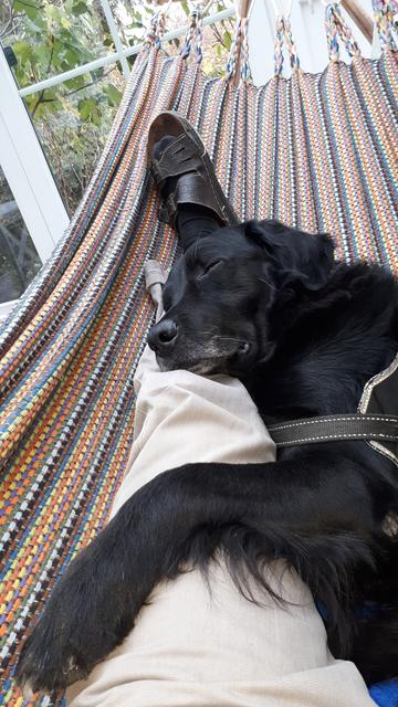 Erholung muss auch mal sein | Foto: Peter Großkopf