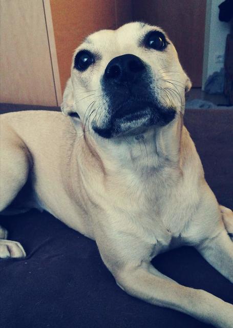 Immer eine Lächeln für die Kamera | Foto: Nicole Weyrer