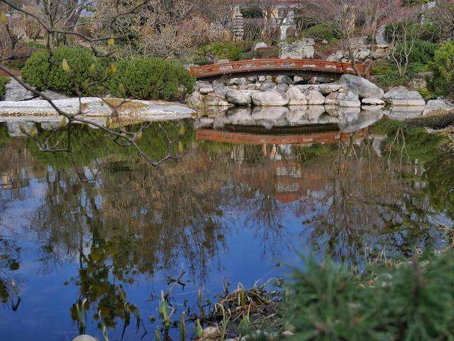 Der Teich vorm Teehaus bildet ein fast schon kitschigen Anblick