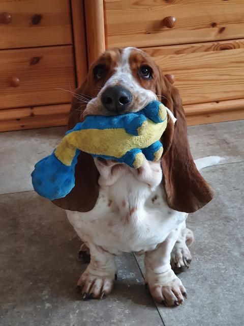 Mit Stolz geschwellter Brust nach der bestandenen Jagdprüfung | Foto: Christian Prager