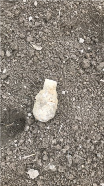 Diese Handgranate kam nach Pflugarbeiten auf einem Feld in Schachendorf zum Vorschein.