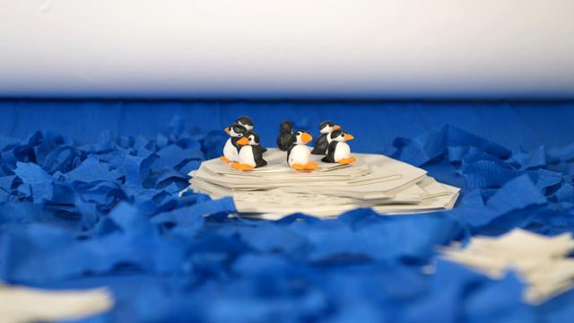 Jugendliche und junge Erwachsene bis 26 Jahre können ab sofort an einem Video-Wettbewerb zu Ideen für den Klimaschutz teilnehmen.