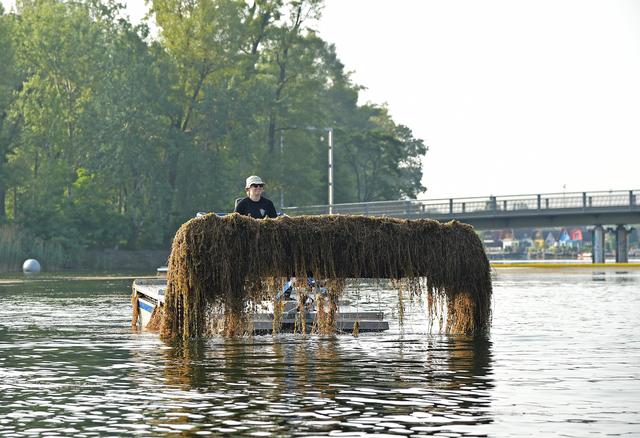 Insgesamt sieben Mäh- und vier Sammelboote sind schon jetzt auf der alten Donau im Einsatz