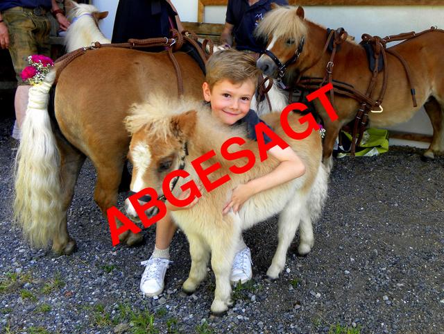 Leider wird die Ausstellung aus Sicherheitsgründen abgesagt.