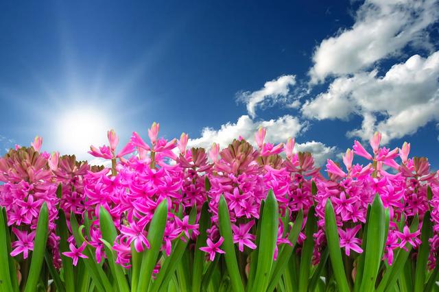 Tief Flora ist endlich abgezogen und nun macht sich endlich Sonnenschein breit: Ganz Österreich präsentiert sich von der Sonnenseite, mit blitzblauem Himmel und milden Temperaturen.