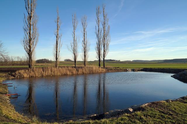 So sieht der Quellteich der Schmida heute aus – von ungezähmter Kraft ist nicht mehr viel zu sehen.