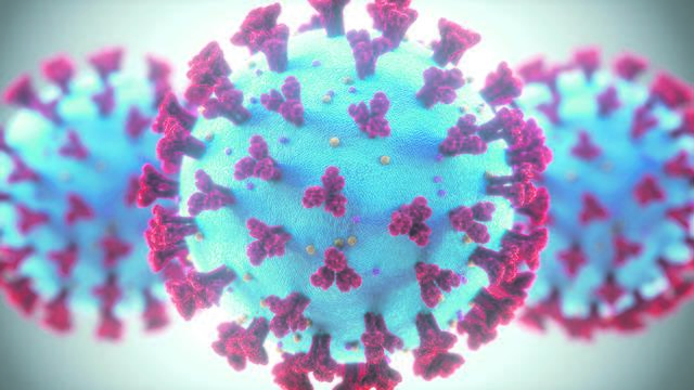 Gefährlich schön: Das neue Coronavirus.