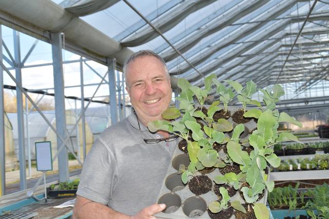 Michael Wedenig: "Biogemüse aus dem eigenen Garten ist nicht nur im Sommer ein Thema. Es gibt winterharte Gemüsearten."