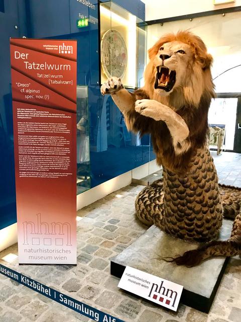 Präparatoren des Naturhistorischen Museums Wien gelang erstmals eine realistische Rekonstruktion des fabelhaften Gebirgsbewohners.