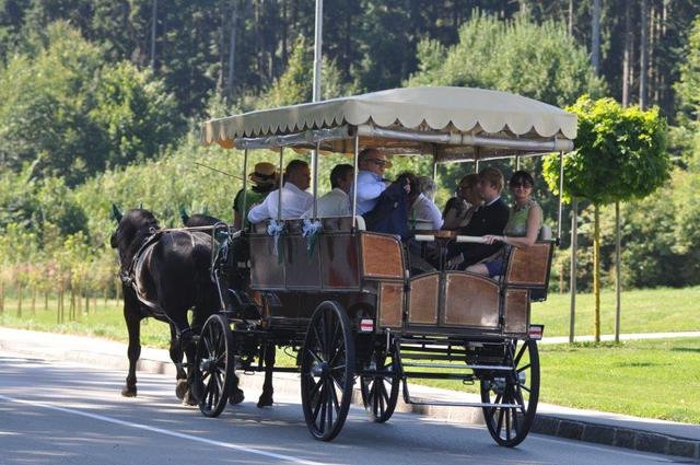 Eine Kutschenfahrt für 14 Personen gewinnen!