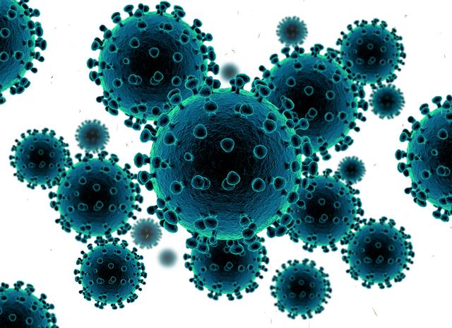 Der Fachhochschul-Campus in Wieselburg wird wegen des Corona-Virus geschlossen.