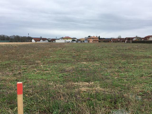 Das Siedlungsgebiet im Möwenweg wird erweitert. Hier werden bald Bauarbeiten für Kanal- und Wasserleitungen stattfinden.