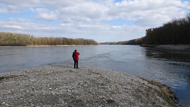 Titelbild: Entlang der Donau bis zur Fischamündung