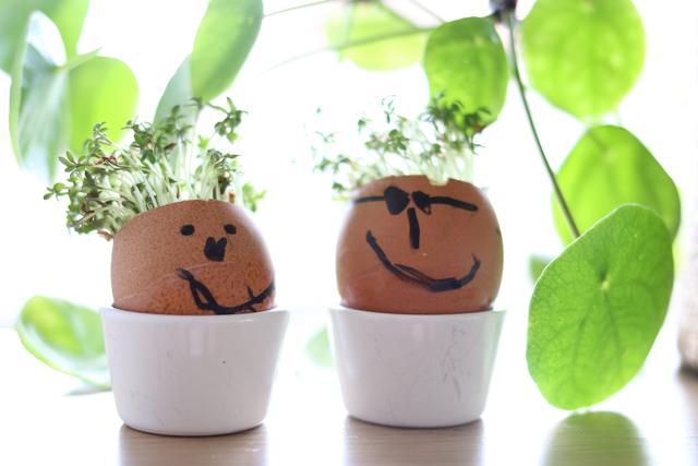 Diese "kressen" Eierköpfe sind eine witzige Osterdeko und ein schöner Basteltipp für Kleinkinder.