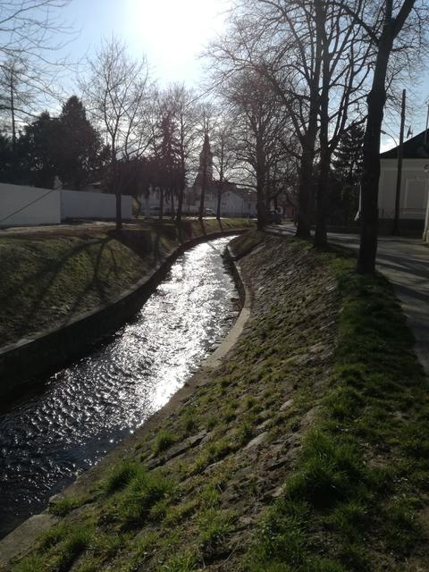 Der Loisbach: Still fließt das Wasser.