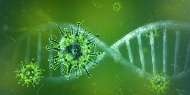 Am Sonntagmittag wurde bekannt, dass im Bezirk Kufstein drei Personen auf das Coronavirus positiv getestet wurden. (Symbolfoto)