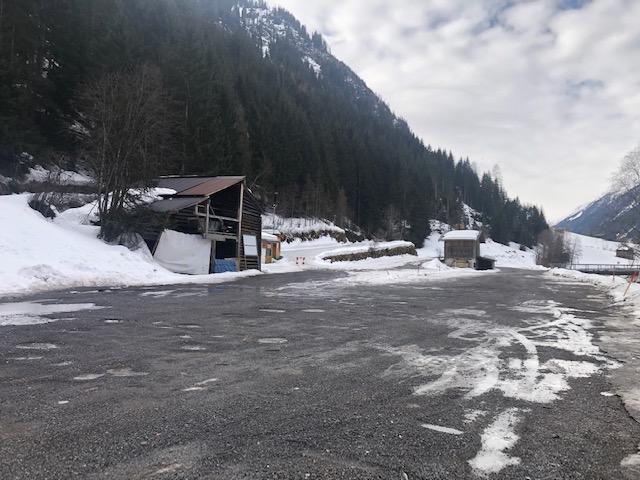 Foto: Carolin Siegele