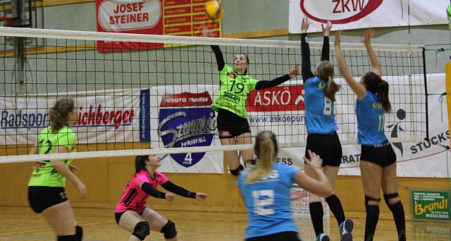 Ein überragender 3:0-Sieg: Die Volleyball-Damen aus Purgstall an der Erlauf ließen den Kilberinnen keinen Funken einer Chance.