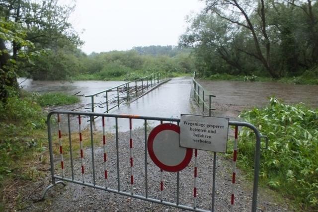 Die Büffelweiden in der Nähe der Blockheide.