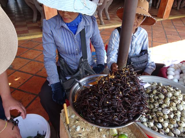 12.02.2020 hier werden Vogelspinnen verkauft..