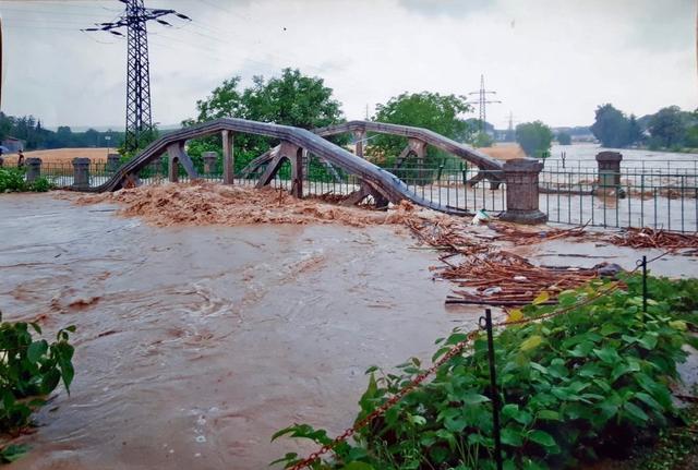 Mitführendes Treibholz, dass sich bei Hochwasser bei der Steghofbrücke sammelt.