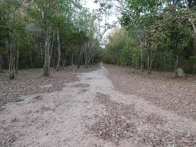 12.02.2020 Weg zwischen den Tempelgruppen