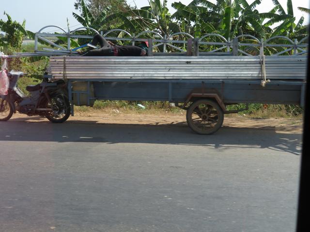 12.02.2020 am Straßenrand...