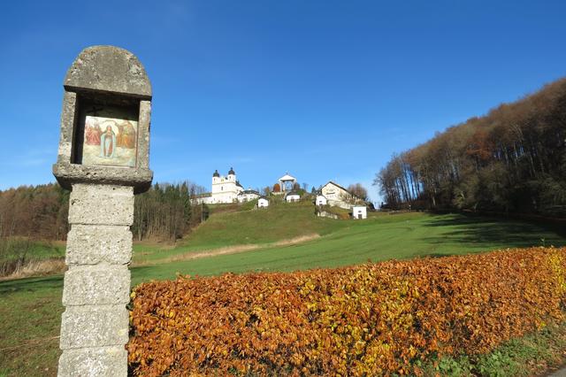 Maria Plain von der Plainlinde aus gesehen.