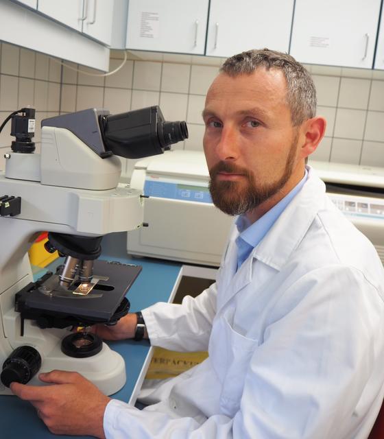 Klaus Vander, Ärztlicher Direktor des Instituts für Krankenhaushygiene und Mikrobiologie des KAGes