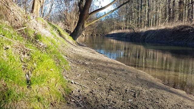 Die Leitha in Schönabrunn
